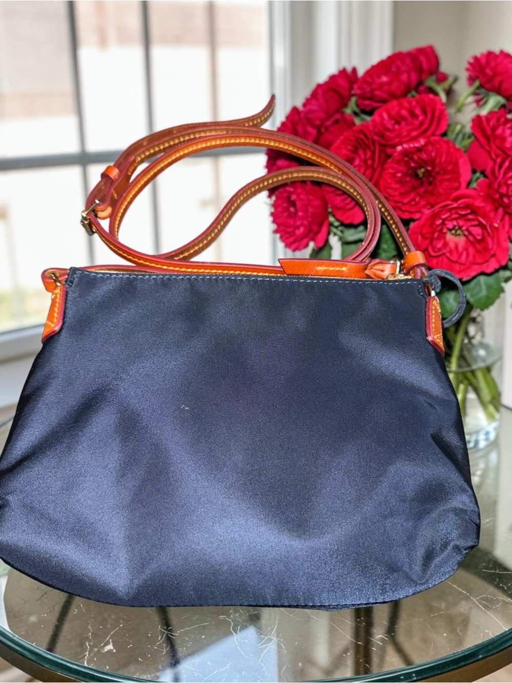 Dooney & Bourke Navy NWT Nylon Crossbody with Brown Leather Trim - Picture 2 of 9